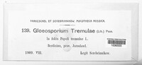 Titaeosporina tremulae image